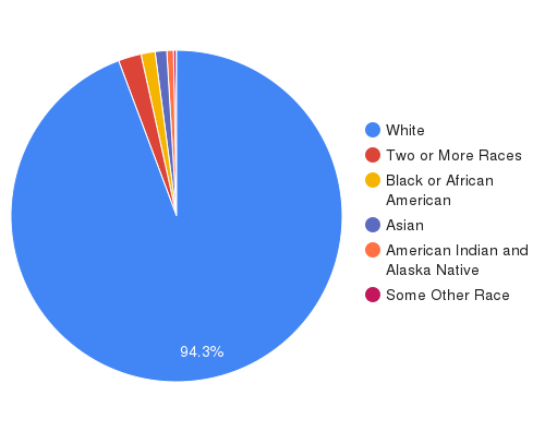 population by race for maine